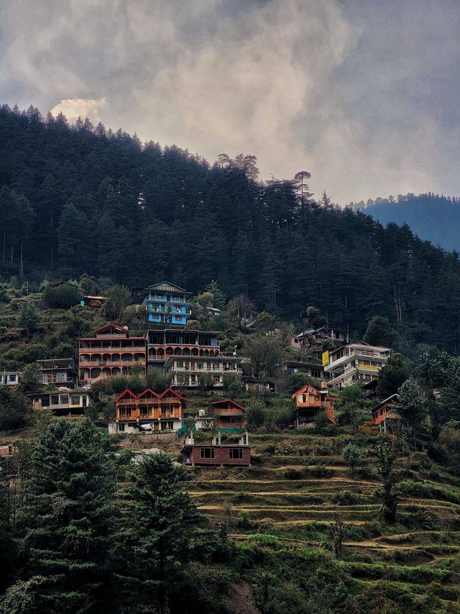 Traditional wooden houses on a forested hillside in the Jibhi area